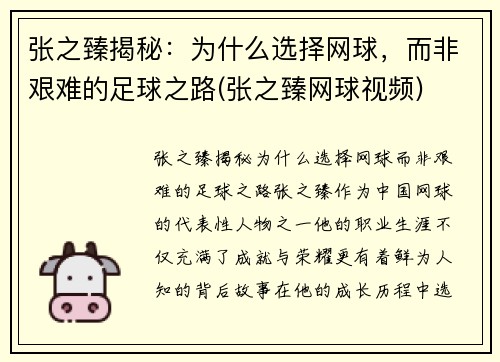 张之臻揭秘：为什么选择网球，而非艰难的足球之路(张之臻网球视频)