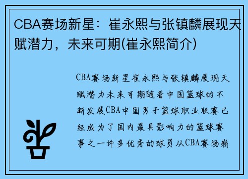 CBA赛场新星：崔永熙与张镇麟展现天赋潜力，未来可期(崔永熙简介)